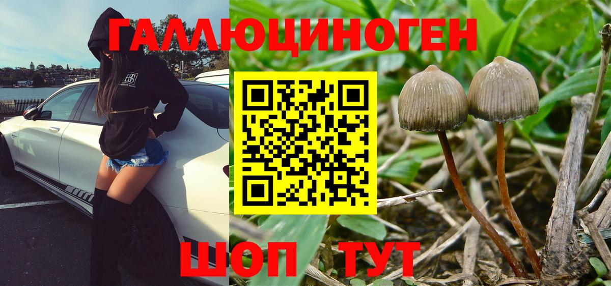Псилоцибиновые грибы мухоморы  купить   Псилоцибиновые грибы MAGIC MUSHROOMS  Нарткала  Вход с VPN 